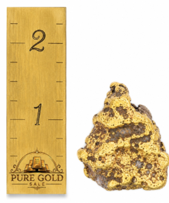 48.8 Gram Natural Gold Nugget