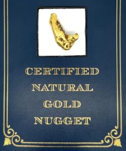 10.5 Gram Natural Gold Nugget