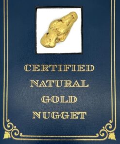18.7 Gram Natural Gold Nugget