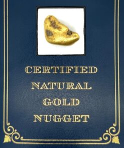 22.0 Gram Natural Gold Nugget