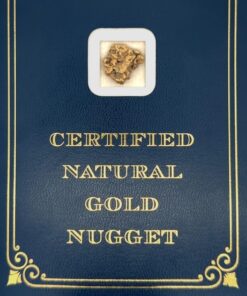 4.9 Gram Natural Gold Nugget