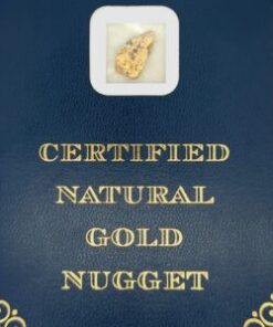 2.7 Gram Natural Gold Nugget